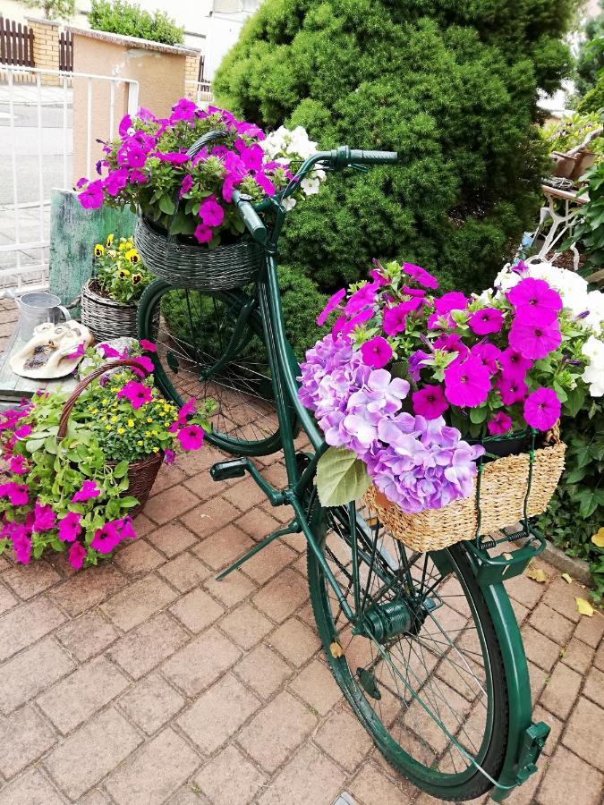 Kreativ Ferienwohnung Domizil Der Sinne Бад-Лібенверда Екстер'єр фото